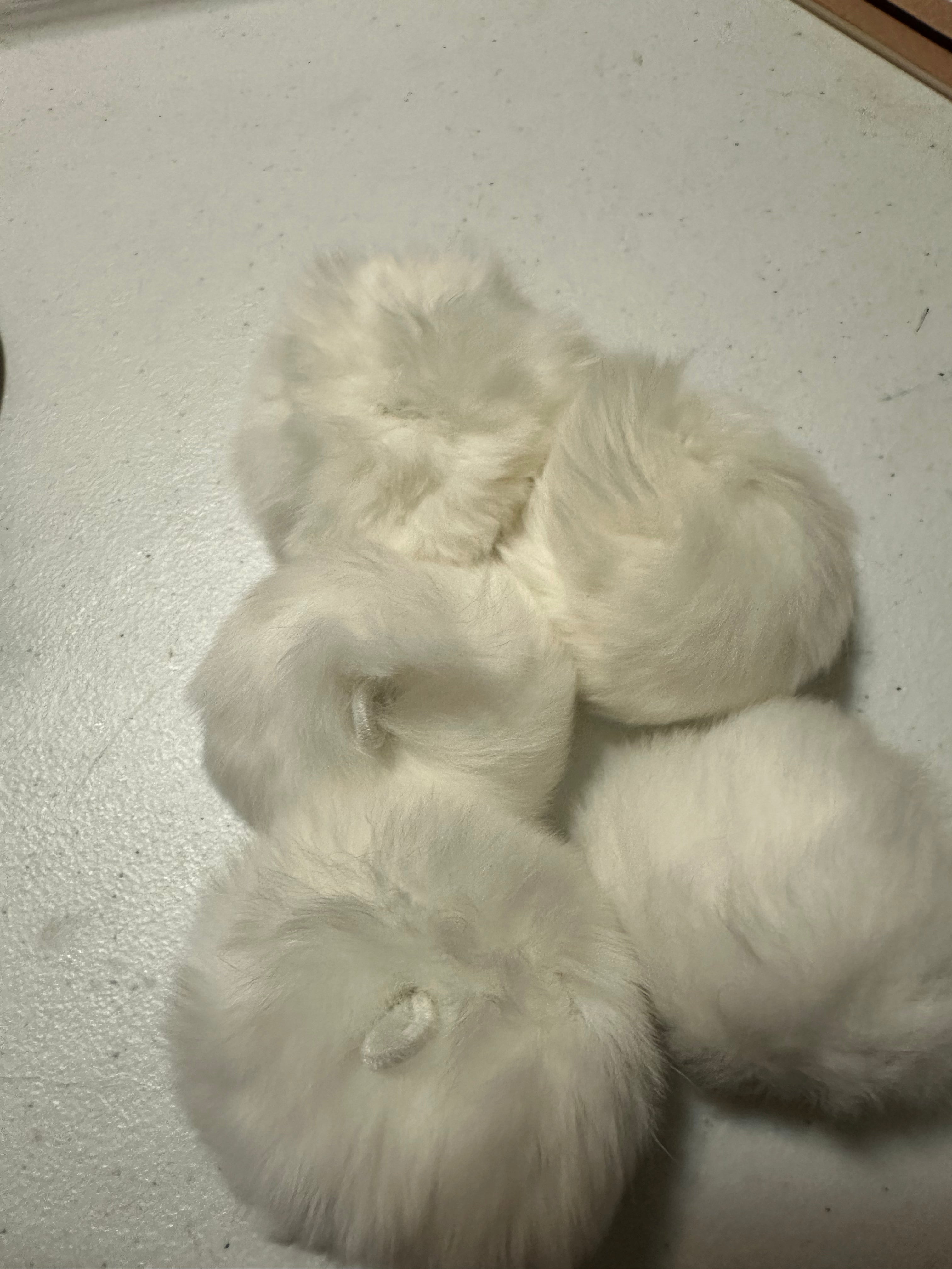 Pompom 5pc